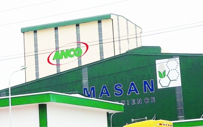 Dự án: Vẽ logo Cám Con Cò - ANCO - Masan